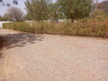 Oasis du Sahel Burkina Faso